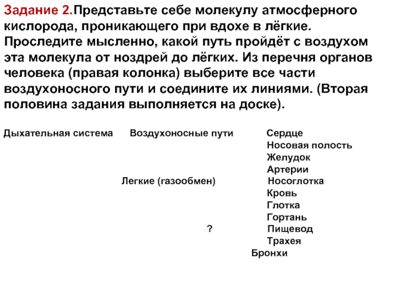 1 6 представляет собой. Представьте себе молекулу кислорода проникающую при вдохе в легкие. Путь молекулы с воздухом от ноздрей до легких. Какой путь пройдёт молекула кислорода от лёгких до лёгких. Представьте себе молекулу атмосферного.