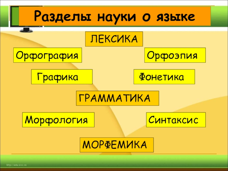 Фонетика морфология синтаксис лексикология