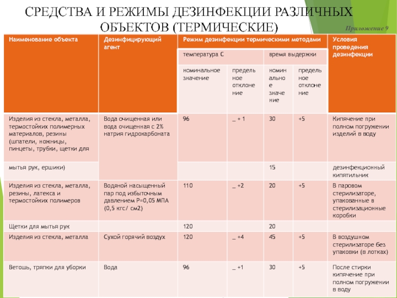 План проведения дезинфекции