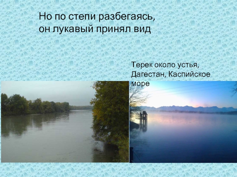 Презентация лермонтов дары терека 4 класс презентация