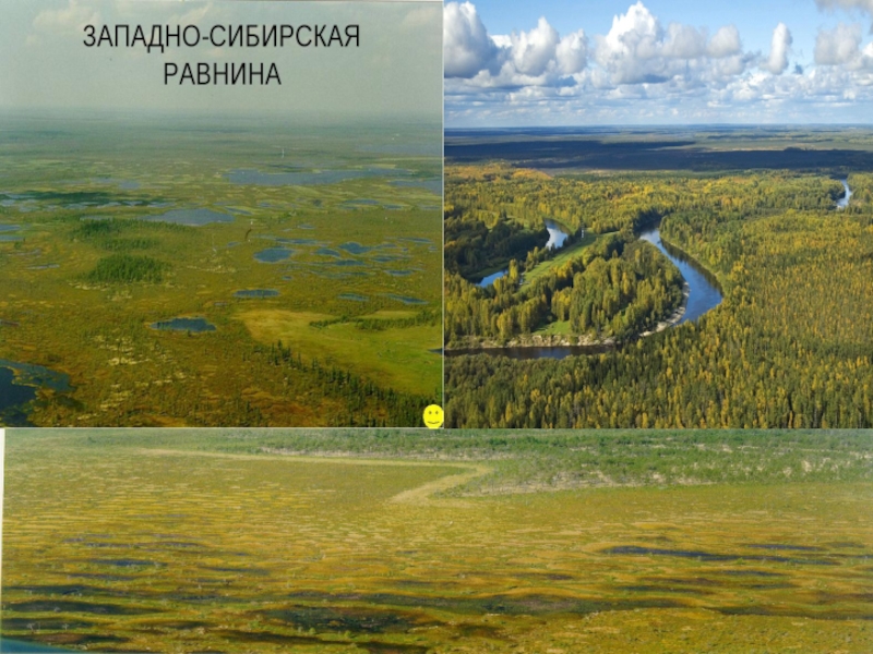 Большие реки западно сибирской равнины. Западно-Сибирская низменность. Озера Убинское на Западно сибирской равнине. Сибирская равнина. Западно-Сибирская равнина фото.