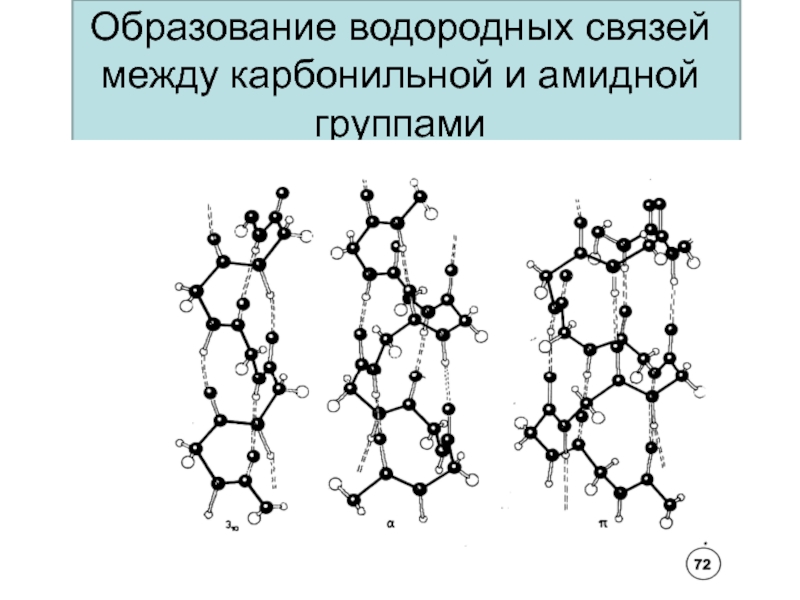 Водородные связи между. Образование водородной связи. Аминокислоты образуют водородные связи. Водородная связь между белками. Водородные связи между аминокислотами.