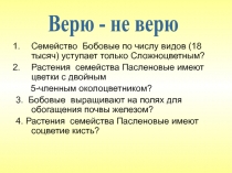 Семейство Бобовые по числу видов (18 тысяч) уступает только