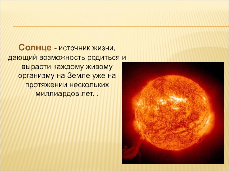 Рост солнечного дня. Солнце источник жизни на земле. Проект про солнце. Солнце источник света. Источник энергии солнца.
