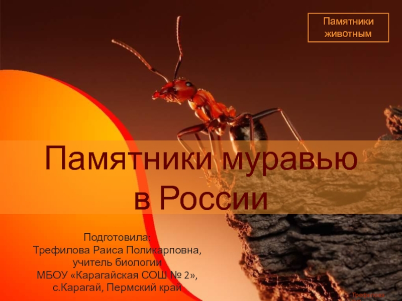 Презентация Памятники муравью в России