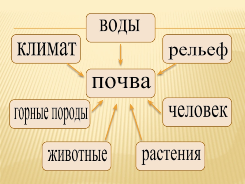 Почва окружающий мир 3. Почва и ее состав. Состав почвы 3 класс окружающий мир. Состав почвы 3 класс. Почва презентация 3 класс.