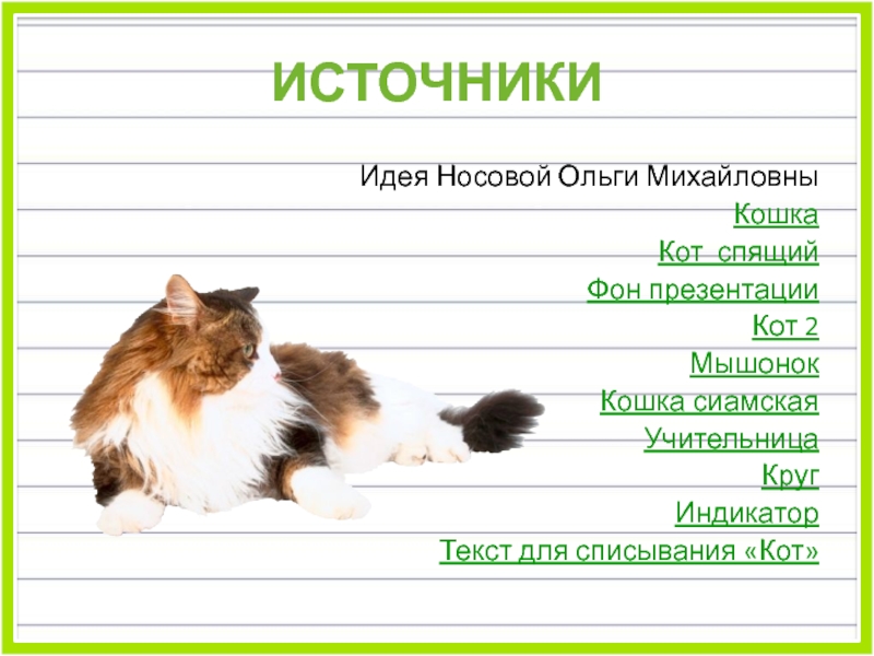 Кот 2 класс. Текст для списывания про кота. Предложение про котика. Предложение со словом кошка. Списывание кот.