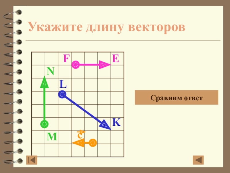 Укажите вектор. Укажите длину векторов. Заданной длины. Указать длину. Укажи длину периода:.