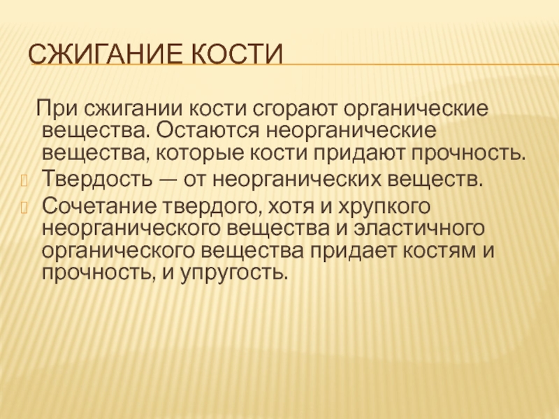 Придает прочность. Температура горения костей. Температура сжигания костей. Температура сгорания костей человека. Температура горения костей человека.