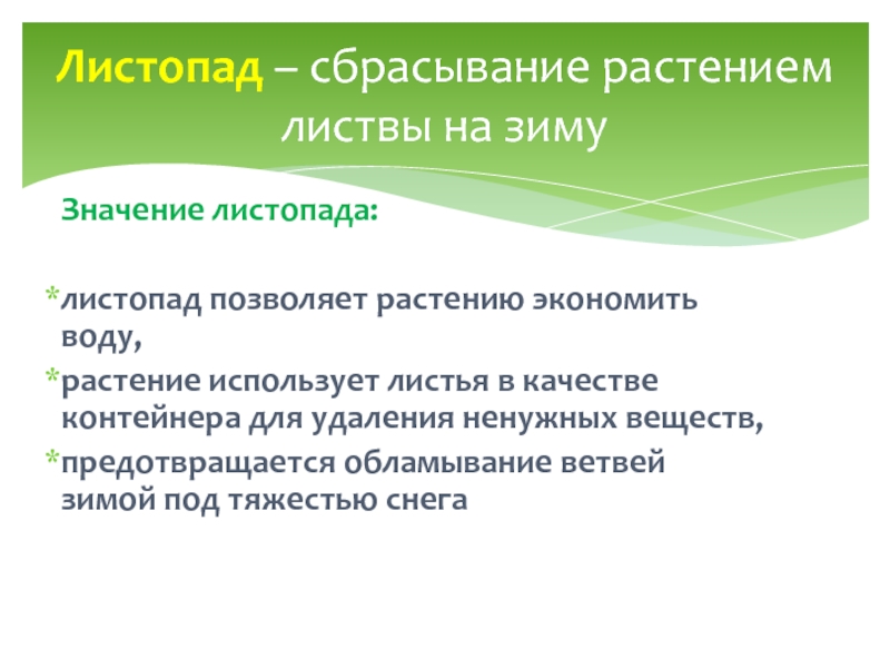 Значение листопада. Значение листопада для растений. Функции листопада. Значение листопада в жизни растений.