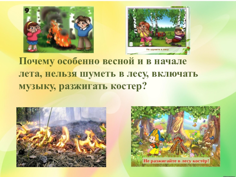 Почему весной запрещена. Почему весной нельзя шуметь в лесу. Нельзя разжигать костёр в лесу. Почему весной и в начале лета нельзя шуметь в лесу. Почему нельзя разжигать костер в лесу.