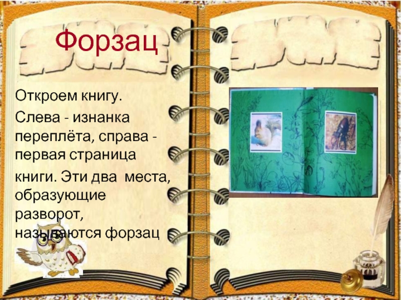 Структура книги 3 класс презентация