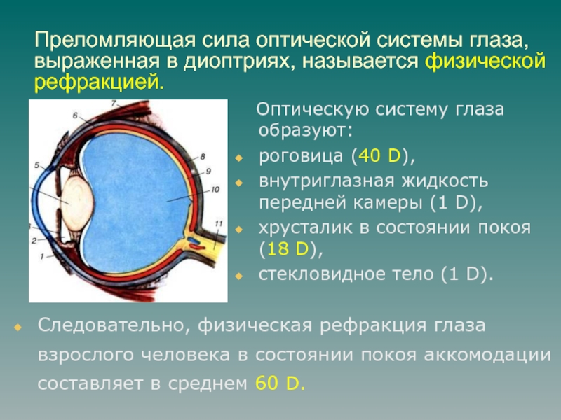 Перечислите оптические среды глаза. Оптическая система глаза диоптрии. Преломляющая способность роговицы. Преломляющая система глаза. Преломляющая способность оптической системы глаза.