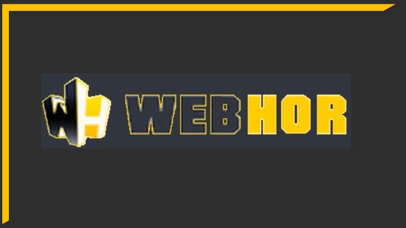 Презентация в слайдах WebHor активатор