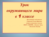 Презентация  к уроку окружающего мира 