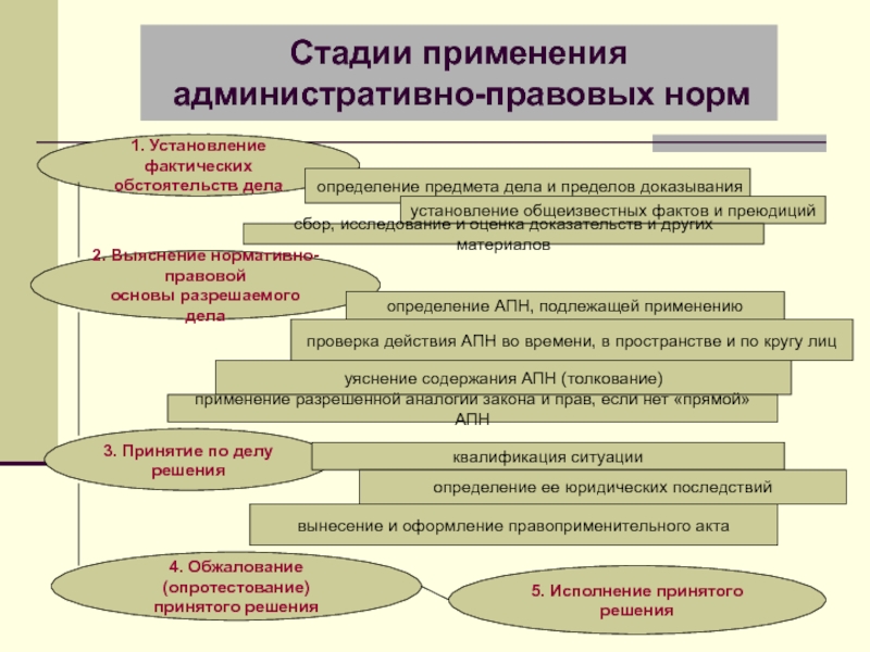 Стадии правоприменительного процесса схема