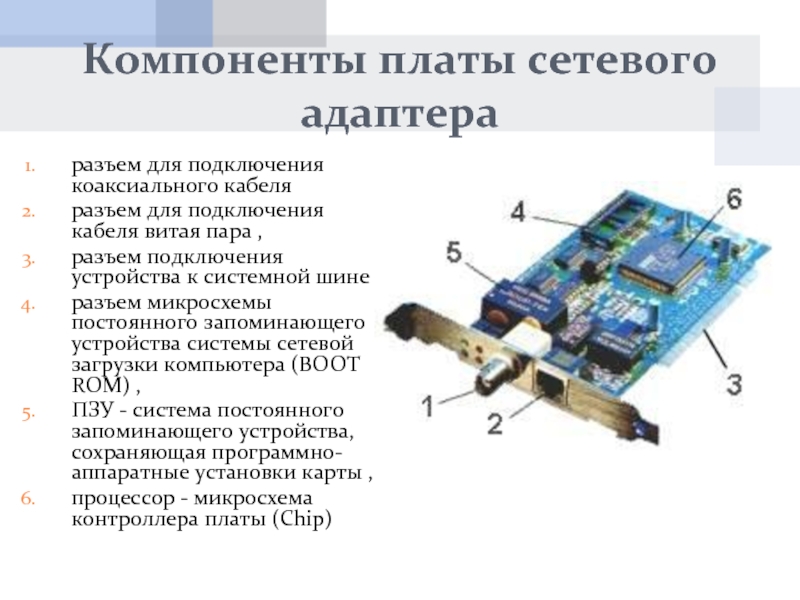 Где находится сетевая карта. Разъем для сетевой карты на материнской плате. Компоненты сетевого адаптера. Материнская плата сетевая карта. Разъемы подключения к сетевому адаптеру..