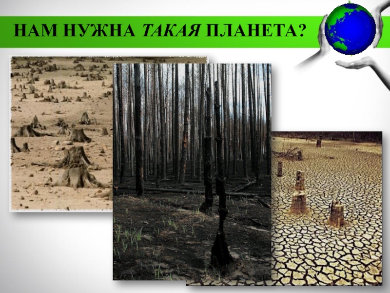 МБДОУ Детский сад №11 комбинированного вида Катюша г. Воркуты
Экологическая НАМ НУЖНА ТАКАЯ ПЛАНЕТА? НАМ НУЖНА ТАКАЯ ПЛАНЕТА?