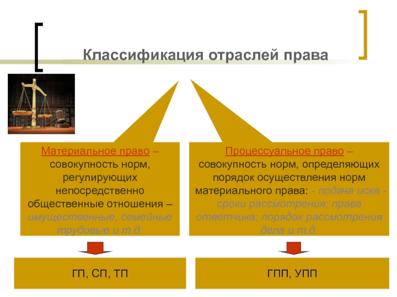 Презентация на тему процессуальные отрасли права 10 класс