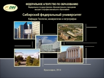 ФЕДЕРАЛЬНОЕ АГЕНТСТВО ПО ОБРАЗОВАНИЮ
Федеральное государственное