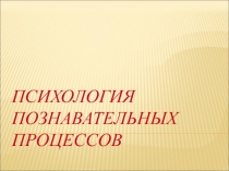 Внимание память речь мышление