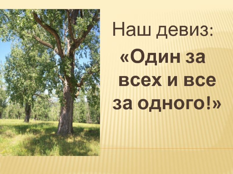 Один за всех все за одного. Девиз один за всех и все за одного. Девизы один за всех. Девиз отряда один за всех и все за одного. Девиз 1 б класса один за всех и все за одного.