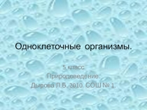 Одноклеточные организмы 5  класс