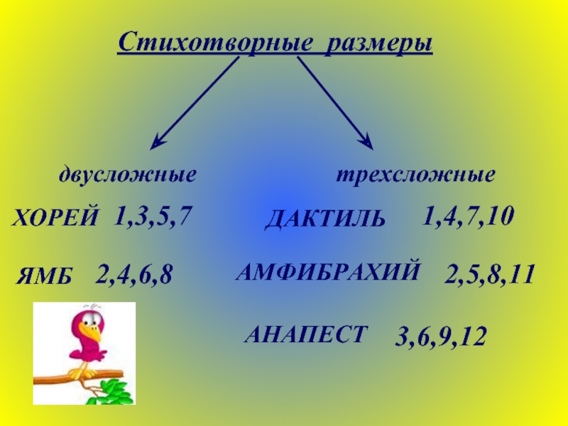 Ямб хорей дактиль схемы