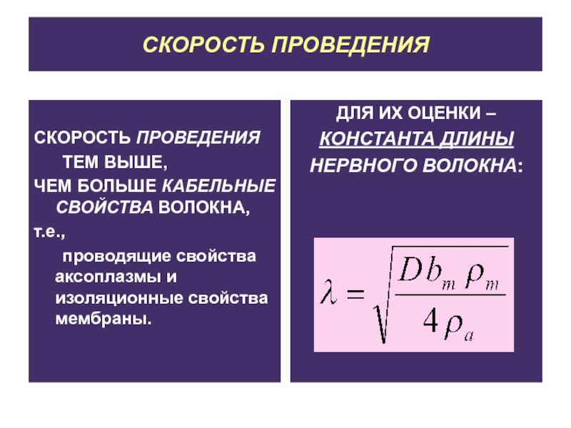 Оцените скорость. Константа длины нервного волокна. Константа длины нервного волокна формула. Кабельные свойства нервных волокон. Постоянная длины нервного волокна.