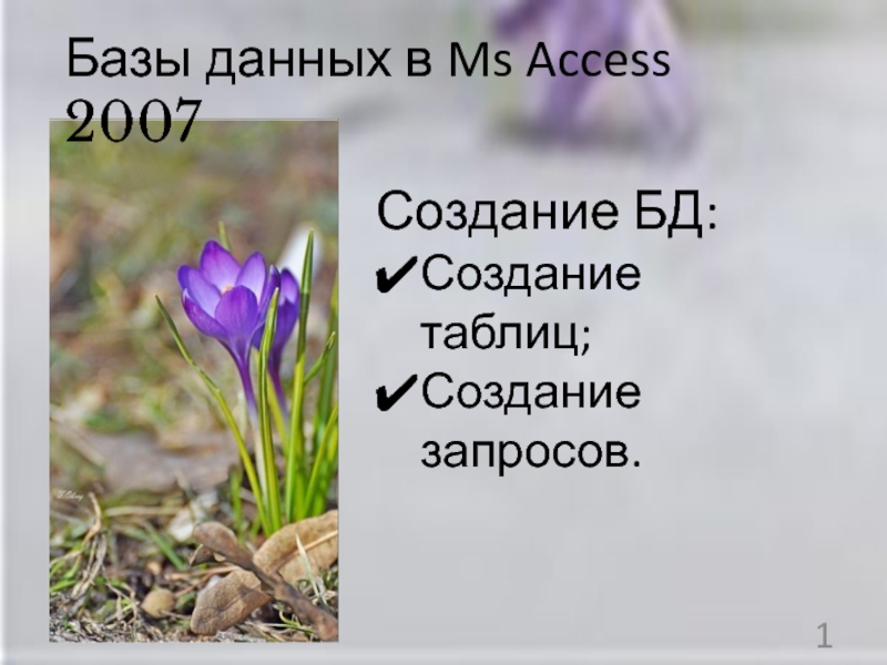 1
Базы данных в Ms Access 2007
Создание БД:
Создание таблиц;
Создание запросов