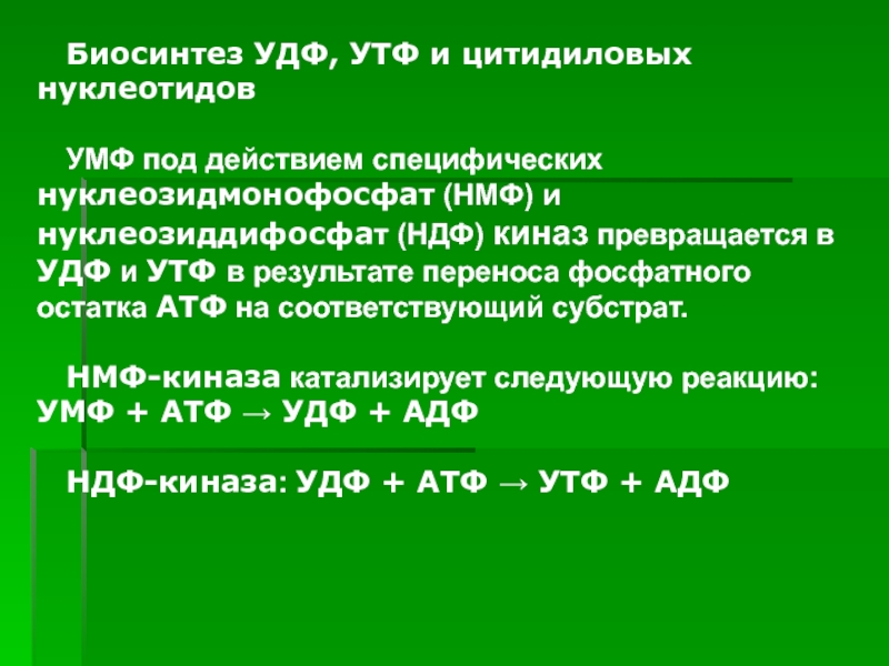 Цитидиловых нуклеотидов содержит