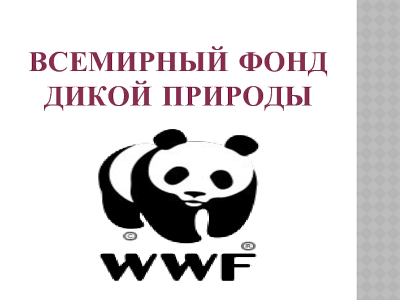 Всемирный фонд природы. Фонд охраны дикой природы. Наклейки Всемирный фонд дикой природы. Эмблема Всемирного фонда дикой природы фото. Всемирный фонд дикой природы акции.