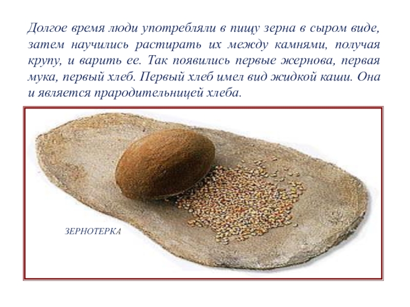 Будучи в сыром виде. Первый хлеб на Руси. Камень для натирания зерна. Зёрнышко древнего человека. Первый хлеб в виде каши.