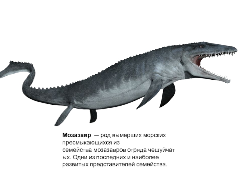 Мозазавр   — род вымерших морских пресмыкающихся из семейства  мозазавров