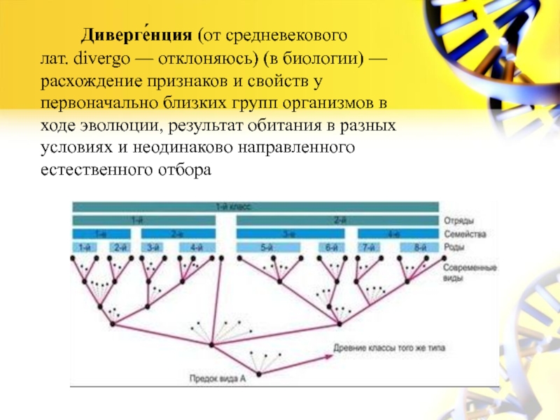 Выбери понятие дивергенция