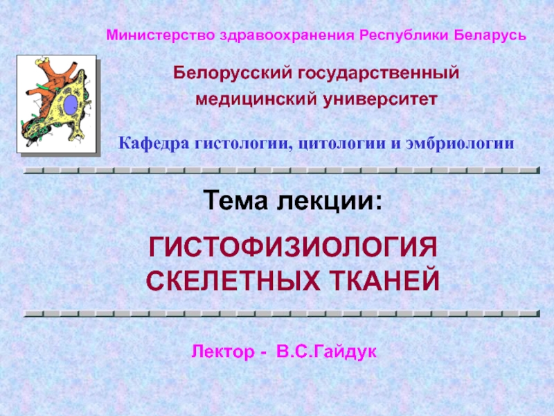 Министерство здравоохранения Республики Беларусь
Белорусский