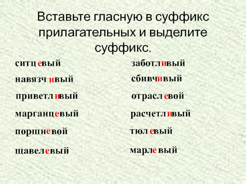 Правописание суффиксов прилагательных презентация