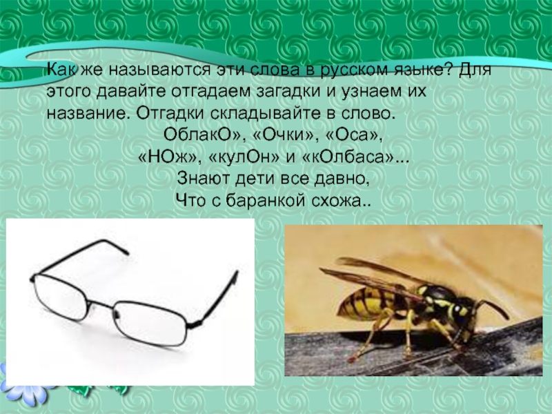 Как же называются эти слова в русском языке? Для этого давайте отгадаем загадки и узнаем их название.
