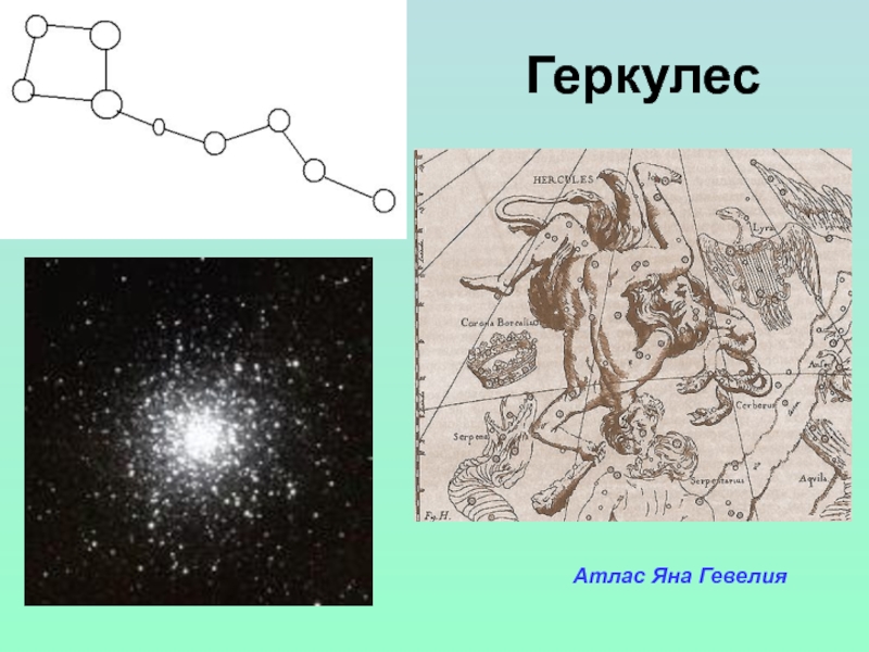 Карта геркулесов. Атлас Гевелия Геркулес. Гевелий Геркулес. Карта как шёл Геракл к атласу.