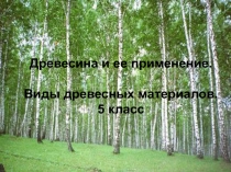 Презентация урока по технологии на тему 