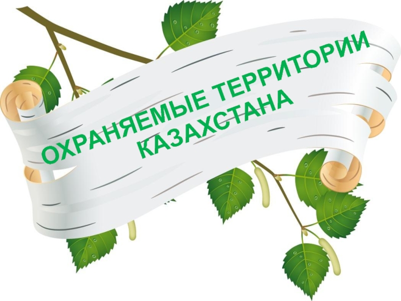 Заповедники и национальные парки Казахстана