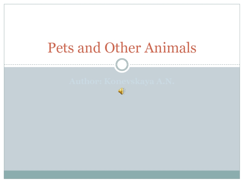 Pets and Other Animals