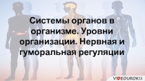 Системы органов в организме. Уровни организации. Нервная и гуморальная регуляции