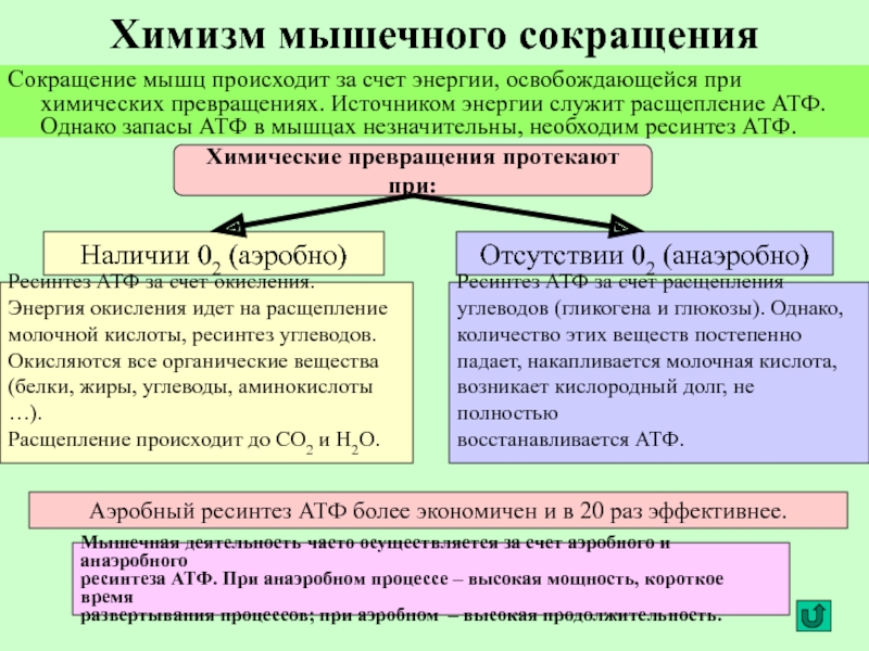 Почему происходит сокращение