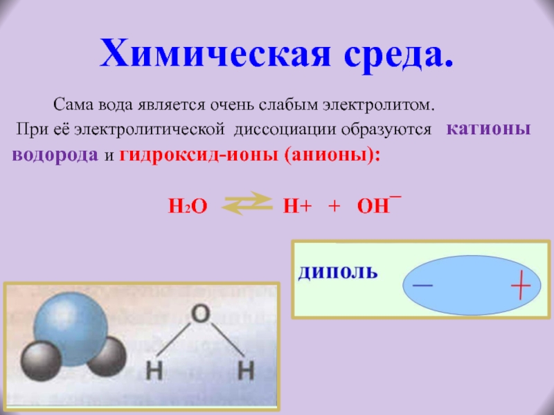 Презентация гидролиз 9 класс химия