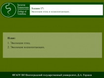 План:
1. Эволюция птиц.
2. Эволюция млекопитающих.
Лекция 17:
Эволюция птиц и