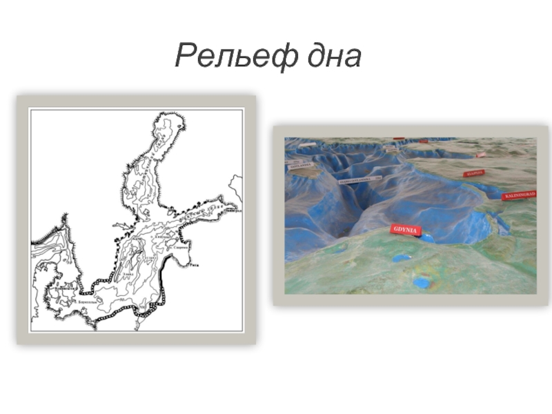 Рельеф черного моря. Рельеф дна Балтийского моря. Рельеф Балтийского моря без воды. Рельеф дна Балтийского моря карта. Балтийское море глубина рельеф дна.