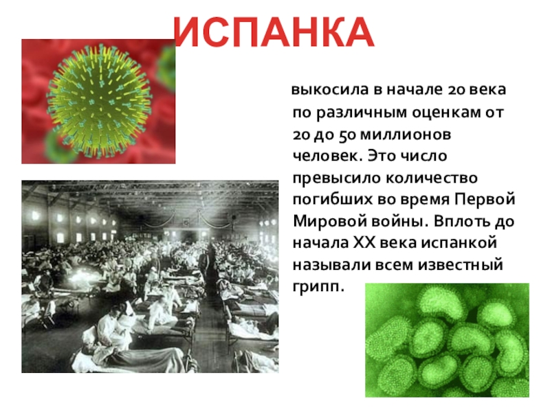 Испанский грипп презентация