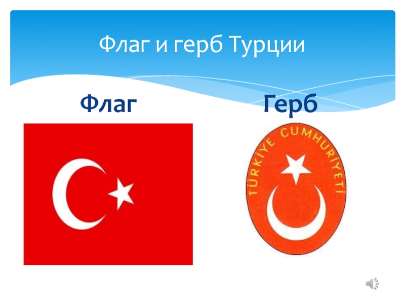 Флаг и герб турции фото