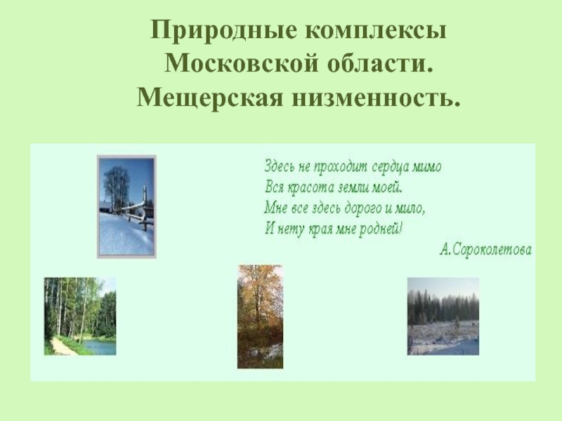 Природные комплексы Московской области.  Мещерская низменность.